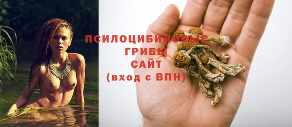 винт Бронницы