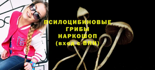 спиды Бутурлиновка