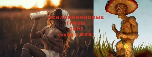 ALPHA-PVP Бородино