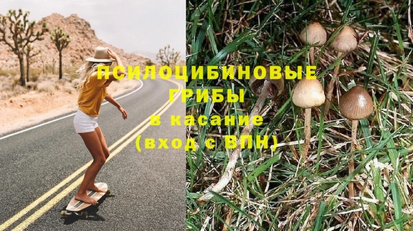 винт Бронницы